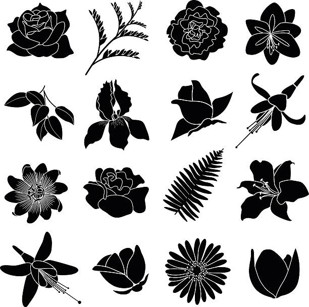 flowers icons Vector flower heads. flower silhouettes stock illustrations
