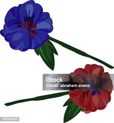 istock Flowers in red and blue on white background. - Illustration. vector 1132646174