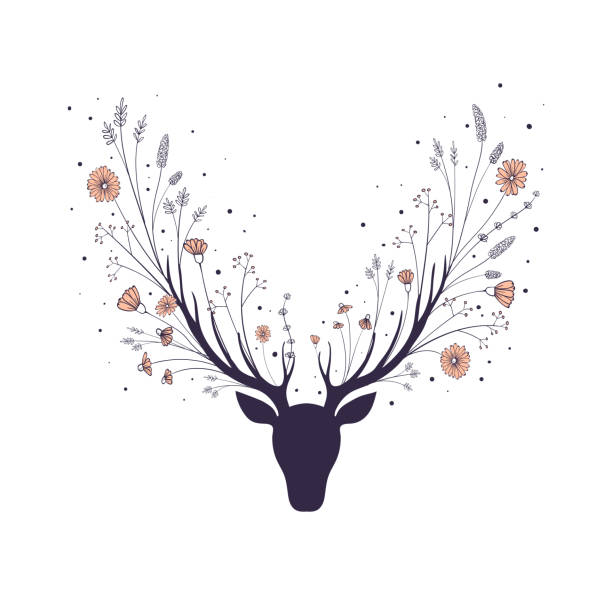 bildbanksillustrationer, clip art samt tecknat material och ikoner med blommor i hornen av en hjort. silhouette av huvudet av ett skog djur. - whitetail