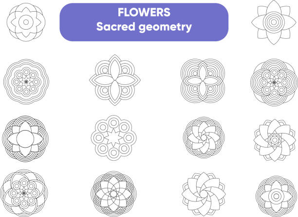 bildbanksillustrationer, clip art samt tecknat material och ikoner med flowers. sacred geometry - flower of life sacred geometry
