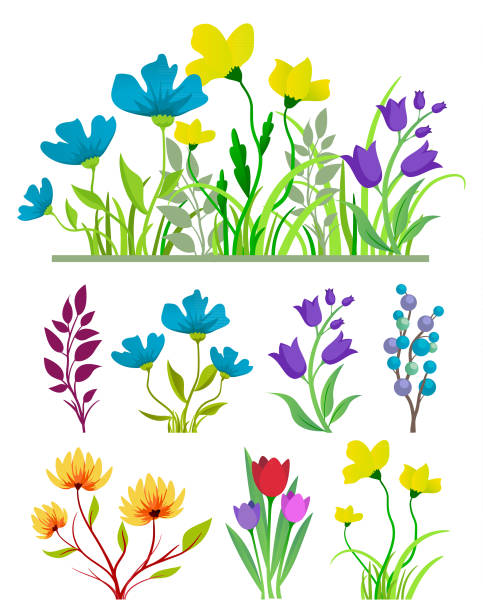 illustrations, cliparts, dessins animés et icônes de ensemble de fleurs - bouquet de fleurs