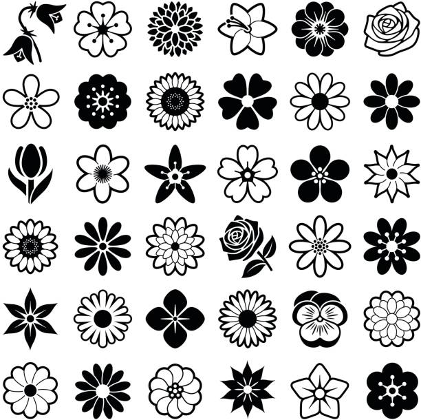 꽃 - 꽃 꽃의 구조 stock illustrations