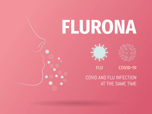Flurona, simultaneously contagious of influenza and covid-19. Flurona, simultaneously contagious of influenza and covid-19.Nose contour with the two types of viruses.Flat vector. omicron stock illustrations