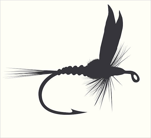 Fly-fishing Fly-fishing on white background hook stock illustrations
