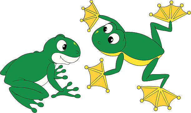 illustrazioni stock, clip art, cartoni animati e icone di tendenza di volante e comuni frogs - ranocchia