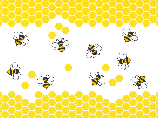 Flying bees with honeycombs. Flying bees with honeycombs. Vector cartoon black and yellow bees isolated on white background. bee borders stock illustrations