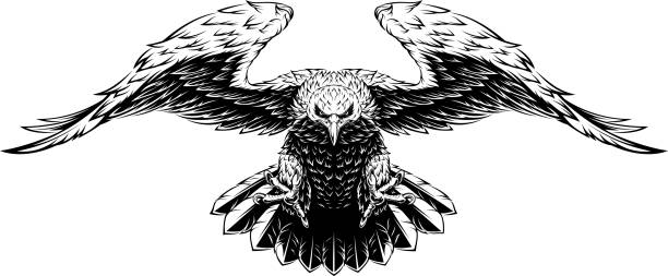 stockillustraties, clipart, cartoons en iconen met vliegende grote adelaar - klauw roofvogel