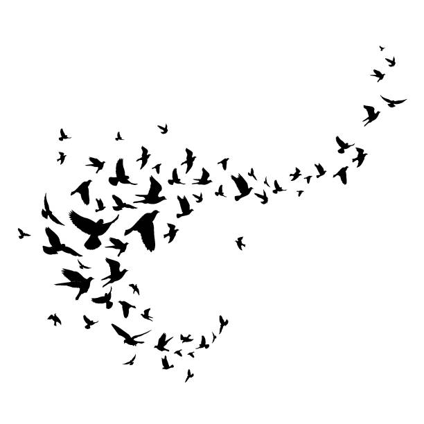 Flying birds silhouette illustration. Vector background Flying birds silhouette illustration. Vector background flock of birds stock illustrations