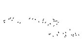 istock Flying birds. Vector image. White background. 1194901358