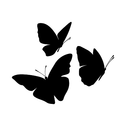 Flying butterfly vector background. Abstract texture for fabric, textile, apparel.