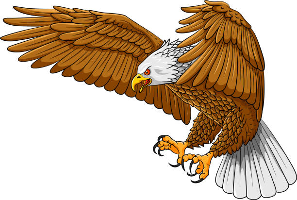 stockillustraties, clipart, cartoons en iconen met vliegende verhaalbeeld van het adelaarsmascotteembleem - klauw roofvogel