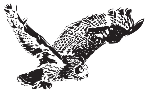 Flying Eagle owl vector