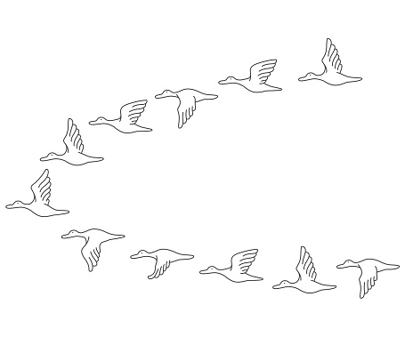 Flying flock of geese vector set