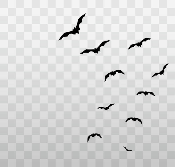 fliegende halloween fledermäuse auf transparentem hintergrund. vektor - emotion spuk stock-grafiken, -clipart, -cartoons und -symbole