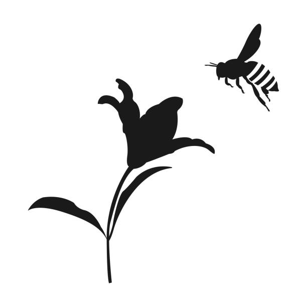 flying honey bee silhouette. flower and honey bee. Vector icon flying honey bee silhouette. flower and honey bee. Vector icon bee silhouettes stock illustrations
