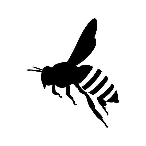 flying honey bee. silhouette honey bee icon vector flying honey bee. silhouette honey bee icon vector bee silhouettes stock illustrations