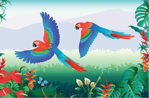 flying parrots