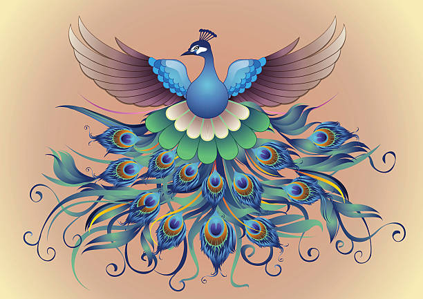 Flying Peacock Vector, Modification flying peacock with decorative style bristle animal part stock illustrations