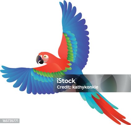 istock flying scarlet macaw 165735771