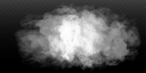 vapor free brushes 493 free downloads