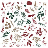 Various leaves seamless pattern illustration. Hand drawn vector graphic for creating fabrics, packaging, stationery, wallpaper designs.