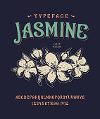 Font Jasmine. Craft retro vintage typeface design. Graphic display alphabet. Historic style letters. Latin characters and numbers. Vector illustration. Old badge, label, logo template.