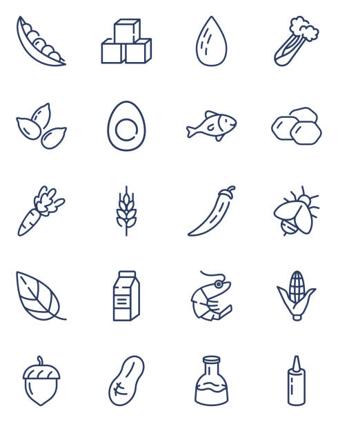 Food allergens line icon set Food allergens line icon set. Soybean, nut, spicy, celery, line, almond, corn, milk, mustard, sugar, mollusk, wheat. Vector icons can be used for GMO products, gluten intolerance, allergy concept pollen stock illustrations