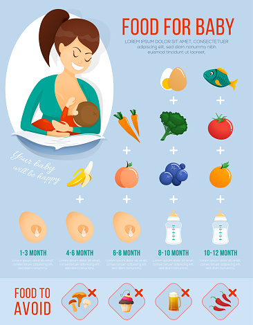 Food For Baby Infographic Concept Banner About Baby Food Vector ...