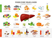 Food for Liver infographic elements isolated on white background. Healthy and unhealthy foods for human liver and gallbladder health icons in flat design