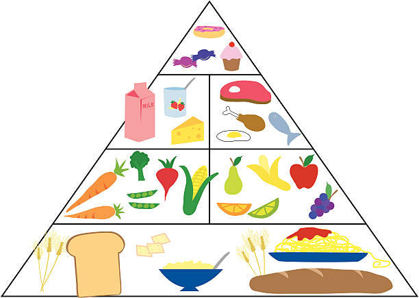 Food Guide Pyramid vector art illustration