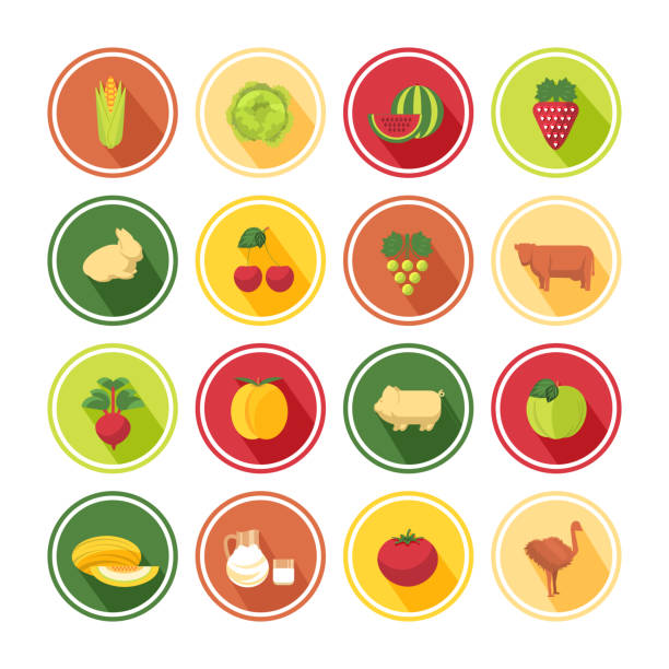 Food icons set Food icons set in flat design corn beef and cabbage stock illustrations