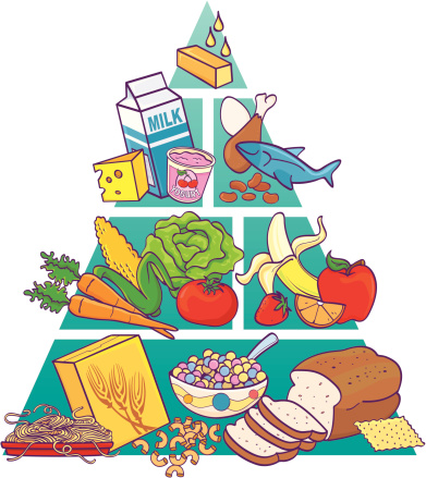 Food Pyramid in Color