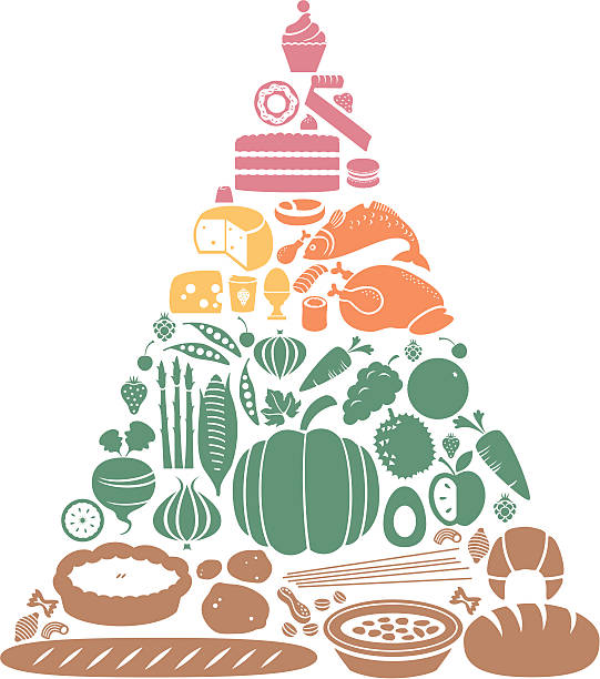 Food Pyramid A food pyramid showing the main food groups. Click below for more food and drink images. pasta silhouettes stock illustrations