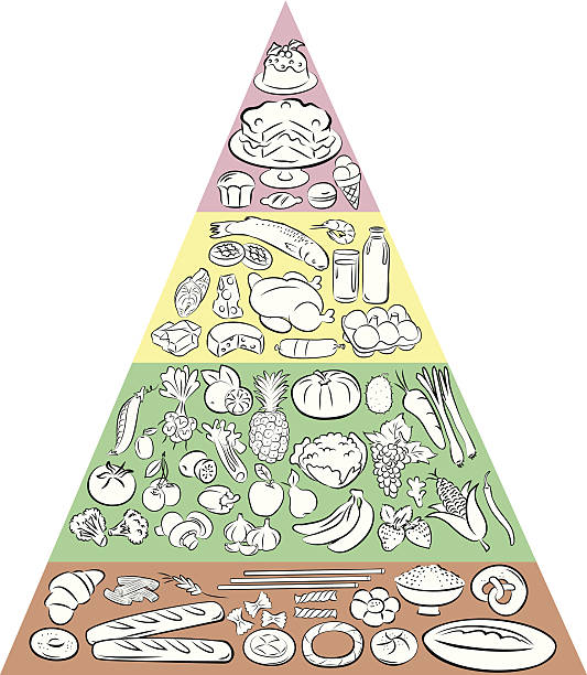 Food Pyramid Illustrations, Royalty-Free Vector Graphics & Clip Art