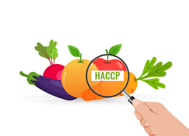 ilustrações de stock, clip art, desenhos animados e ícones de haccp food safety checking and inspection - haccp