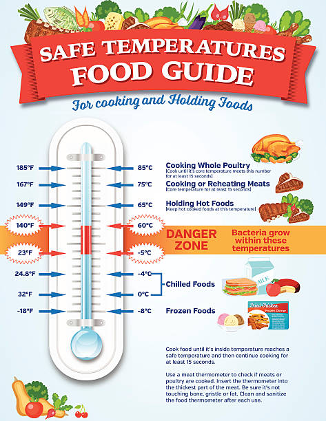 stockillustraties, clipart, cartoons en iconen met food safety guide infographic - bevroren voedsel