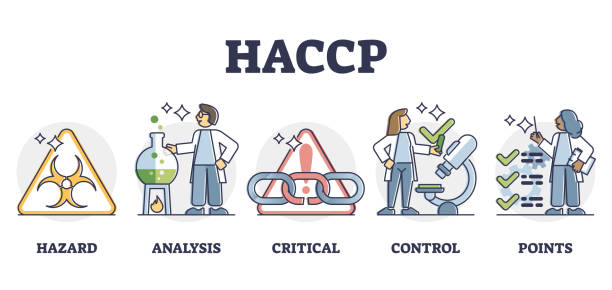 ilustrações de stock, clip art, desenhos animados e ícones de haccp food safety preventive analysis and control system, outline diagram - haccp