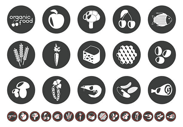 Food set Food set with silhouettes of corn, dairy products, meat, vegetables, seafood, eggs, berry and honey. Organic food, gmo free. Vector illustration. corn beef and cabbage stock illustrations