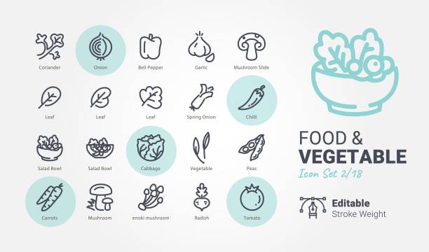 illustrazioni stock, clip art, cartoni animati e icone di tendenza di icone vettoriali food & vegetable - verdura cibo