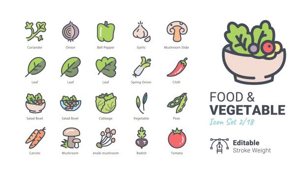 ilustrações de stock, clip art, desenhos animados e ícones de food & vegetable vector icons - salad bowl