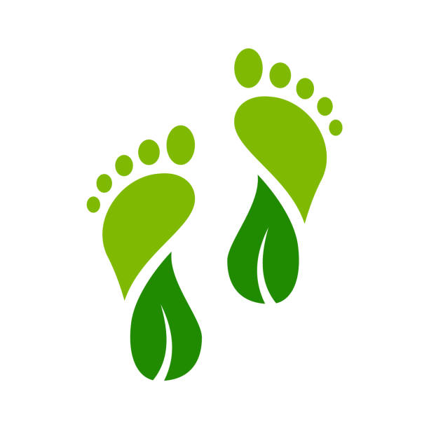 Foot in shape of a leaf. Carbon neutrality. Feet with a leaves. Zero carbon footprint concept. Green step. Environmental friendly action idea. Net zero emission. Vector illustration, flat, clip art. climate action stock illustrations