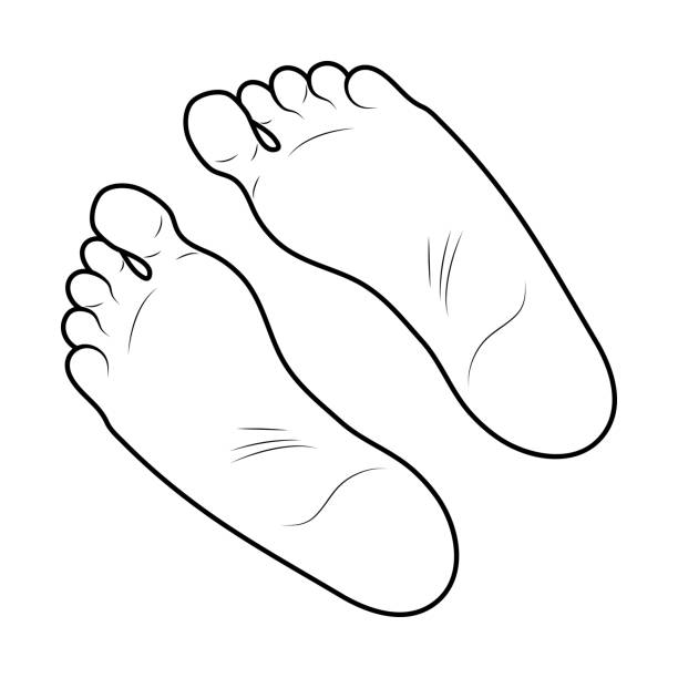 foot print icon outline design isolated on white background foot print icon outline design isolated on white background bare feet stock illustrations