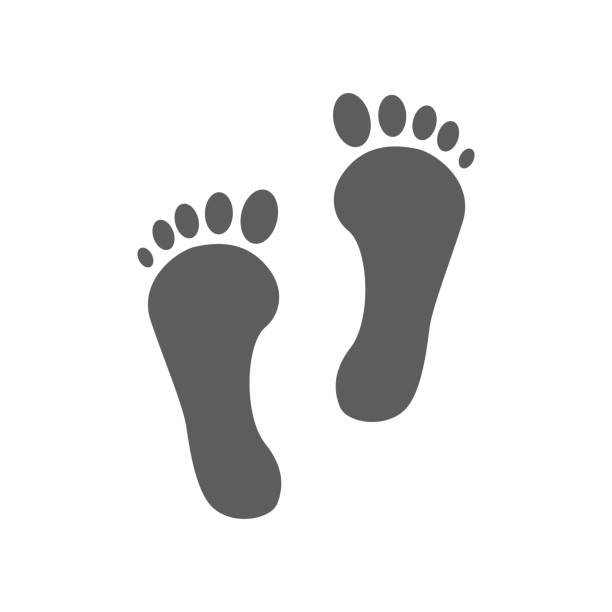 stockillustraties, clipart, cartoons en iconen met foot print vector icon, foot step icon. steps flat icon - voeten in het zand