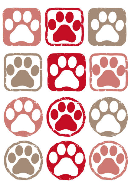 stockillustraties, clipart, cartoons en iconen met voetafdruk vector kleurset - jaar van de hond