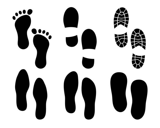 Footprint silhouette illustration / vector Illustrations that can be used in various fields at the bottom of stock illustrations