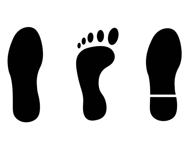 footprint brushes free photoshop brushes at brusheezy