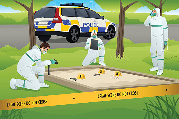 ilustraciones, imágenes clip art, dibujos animados e iconos de stock de forense trabajando en una escena del crimen - crime scene