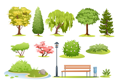 Forest and park trees, bushes, fern and park bench set