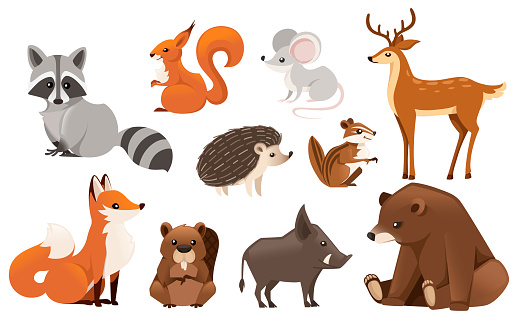 Forest animal set. Colored animal icon collection. Predatory and herbivorous mammals. Flat vector illustration isolated on white background