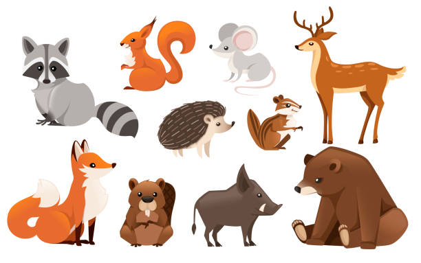 Forest animal set. Colored animal icon collection. Predatory and herbivorous mammals. Flat vector illustration isolated on white background Forest animal set. Colored animal icon collection. Predatory and herbivorous mammals. Flat vector illustration isolated on white background. fox stock illustrations